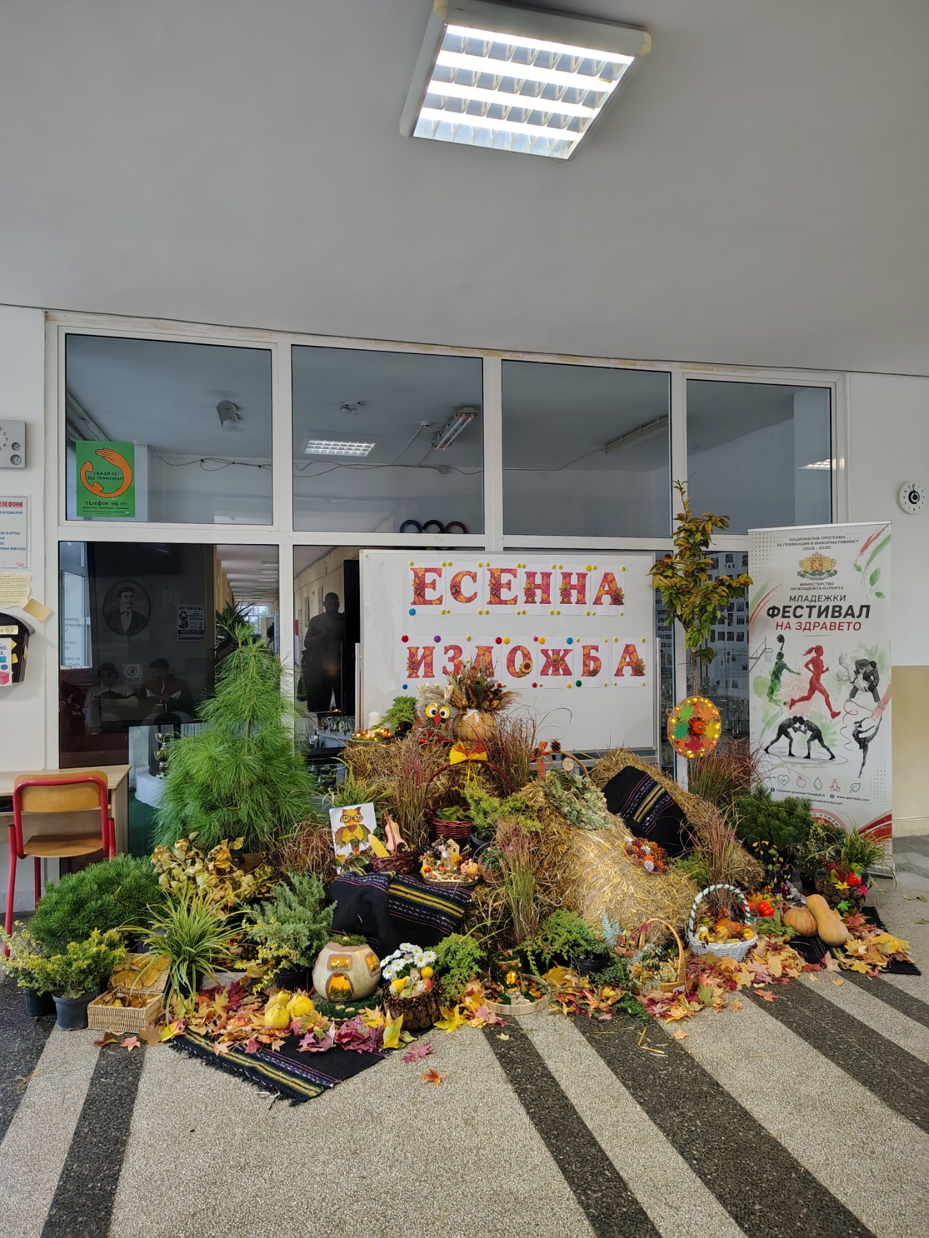 viber_изображение_2026-10-16_10-50-09-461