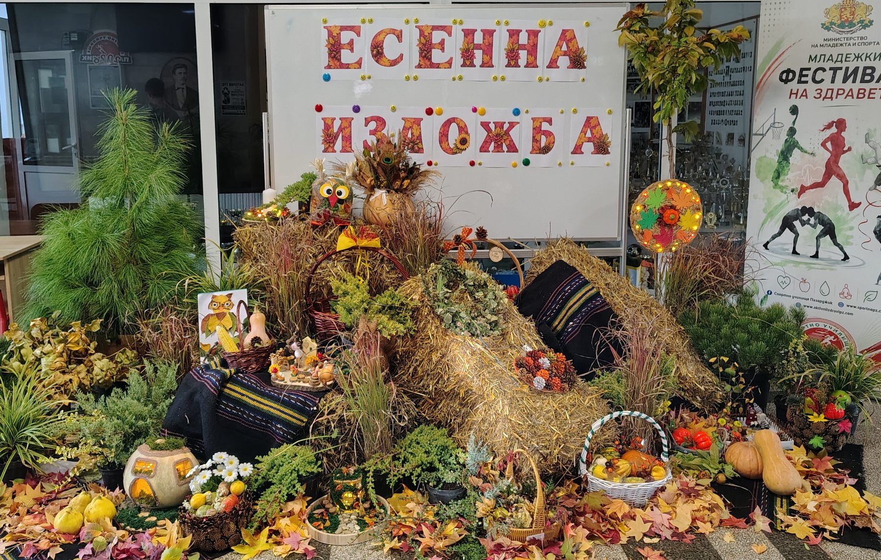 viber_изображение_2026-10-16_10-50-10-093